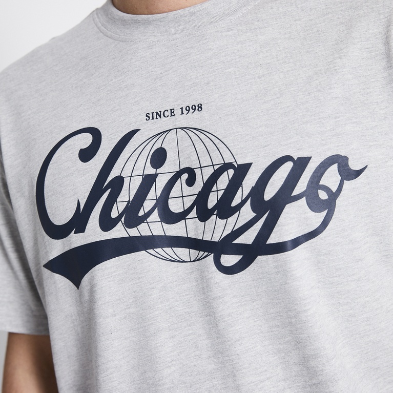 Printed tee "West" Grey Melange 2